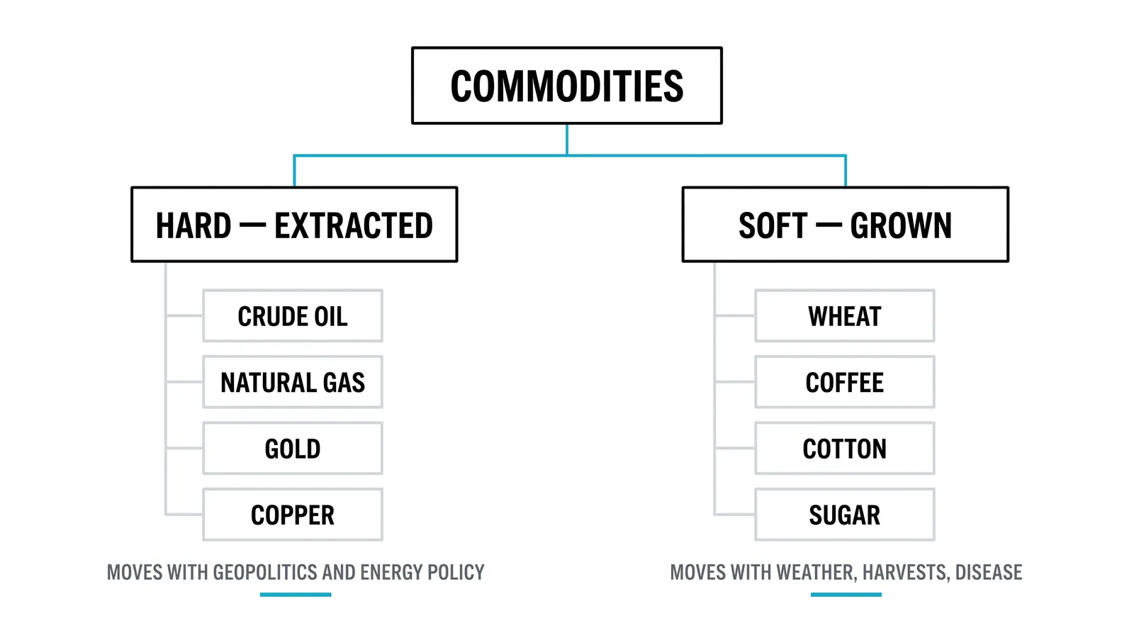 Hard and soft commodities