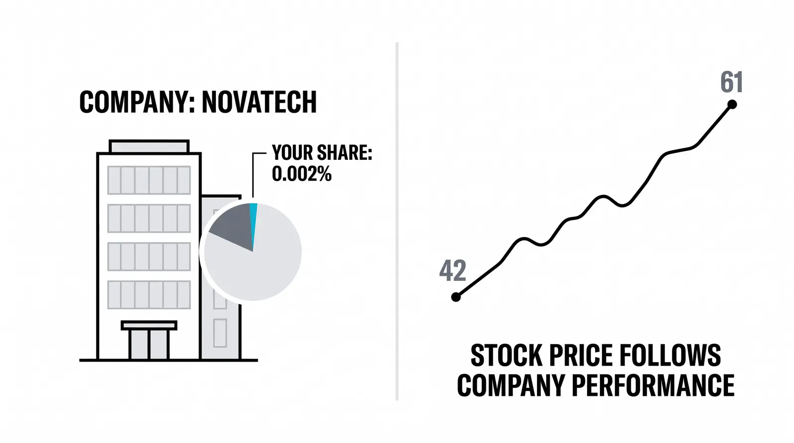 The market beginners already half-understand