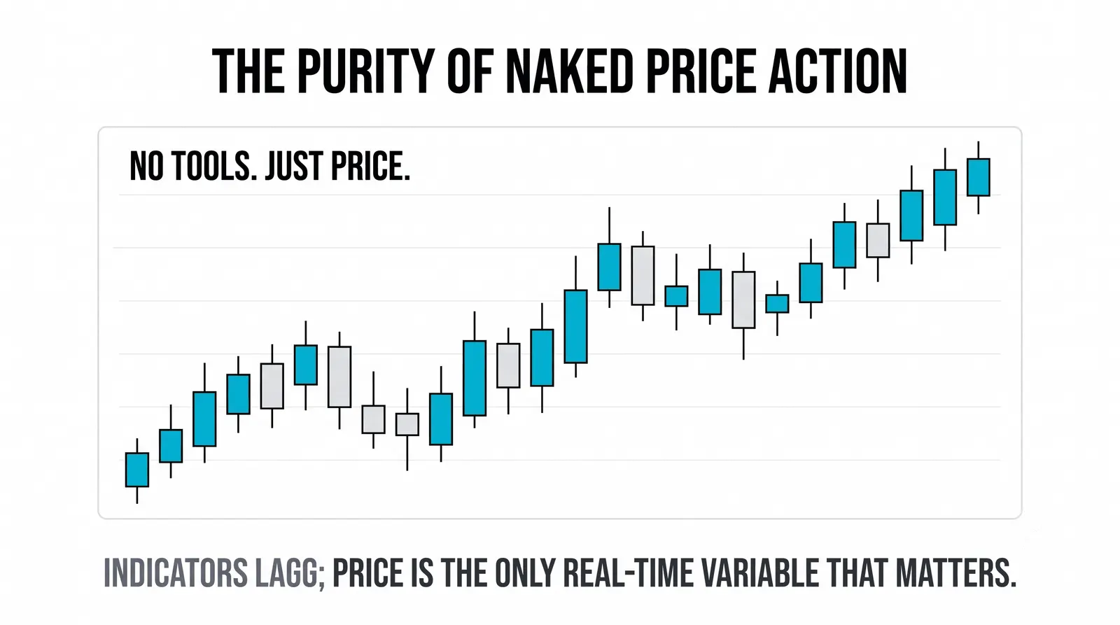 The raw price record: opens, closes, highs, and lows without indicators