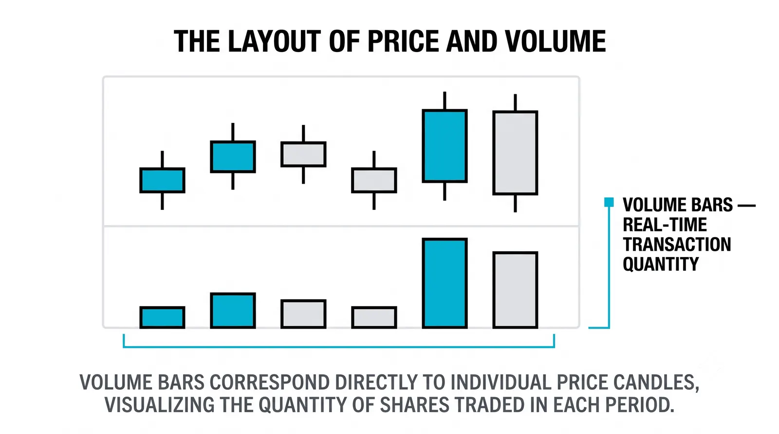 Volume: how many participants stood behind the move