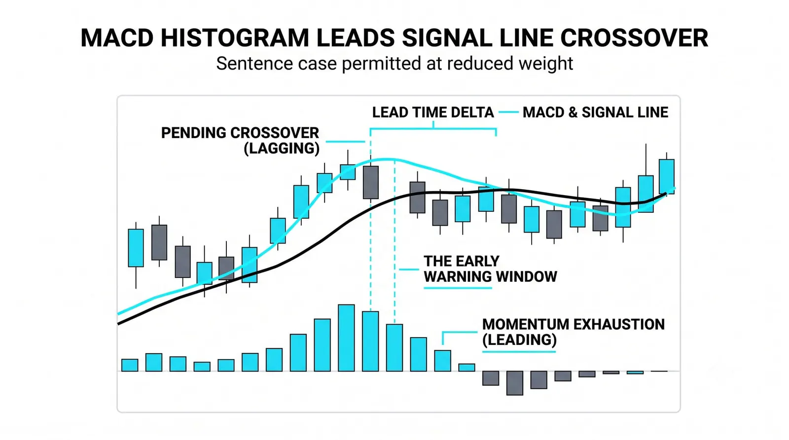 Why the Histogram Shows Momentum Shifts Earlier Than the Lines
