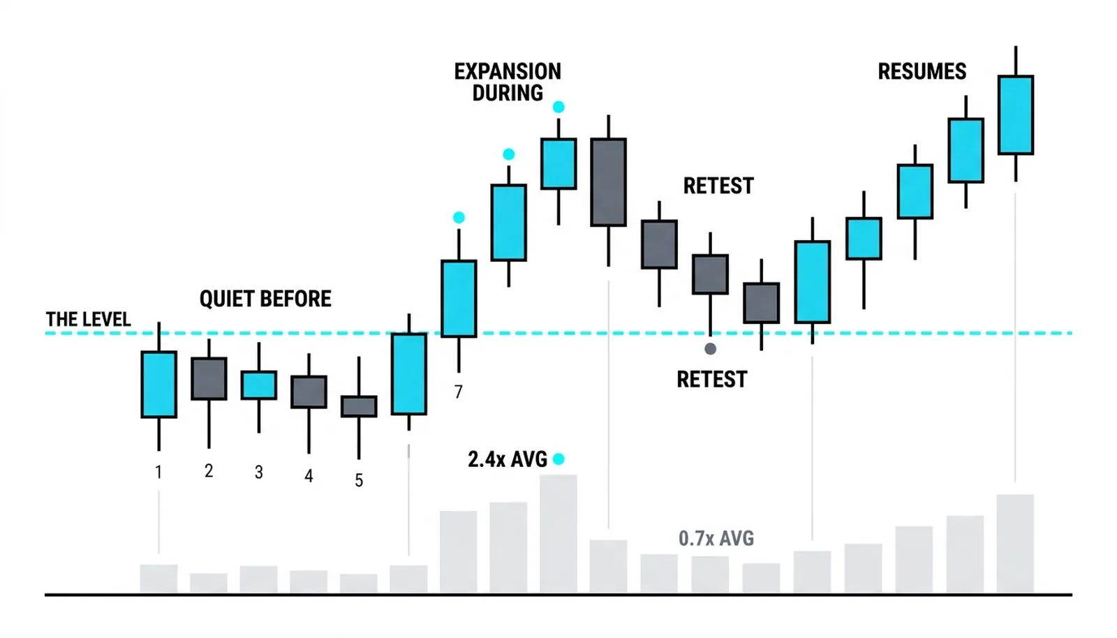 The three volume phases of a genuine break: the coil dries below average, the break bar prints 2.4 times average, and the retest holds on 0.7 times before the push resumes