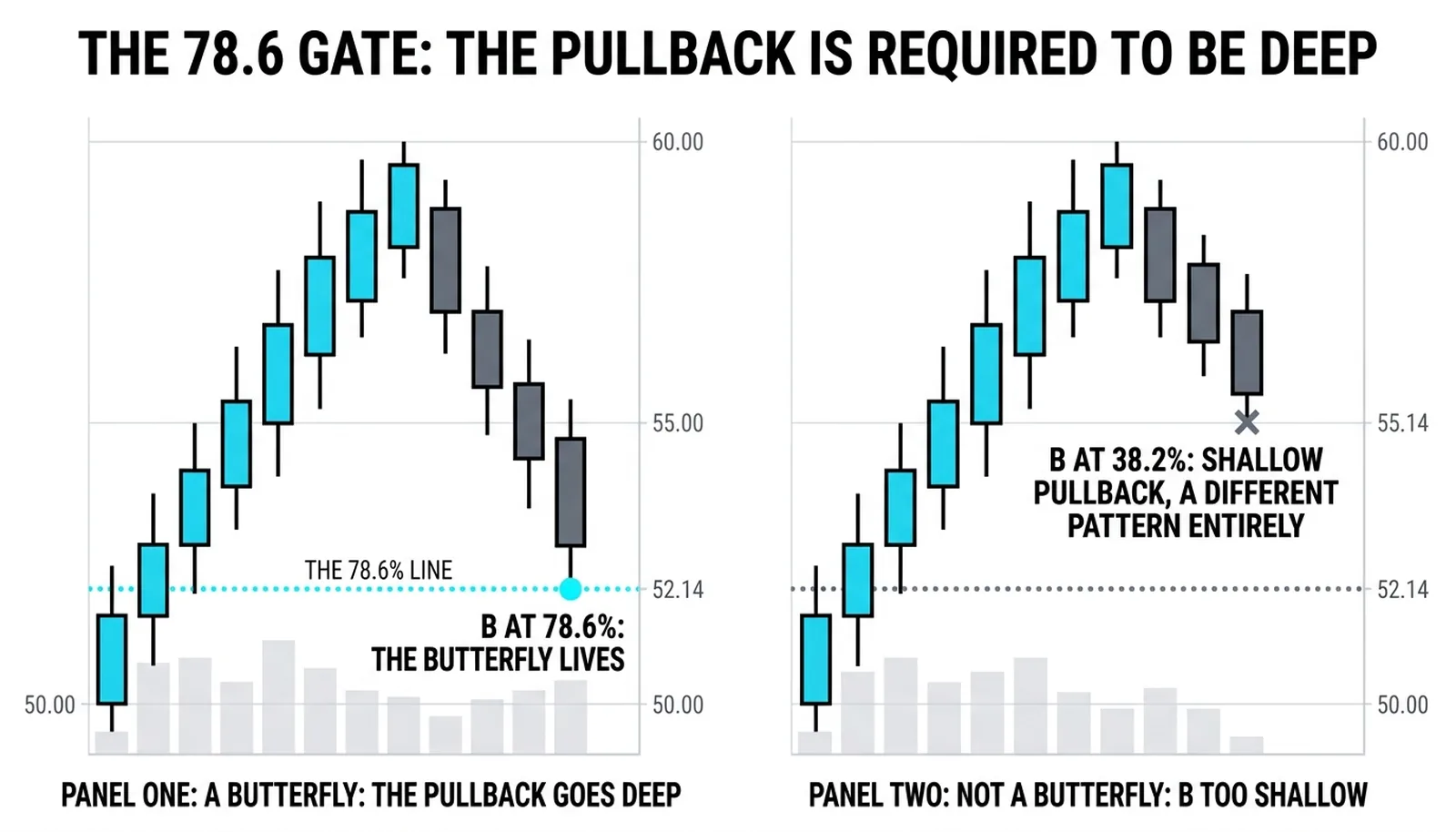 The 78.6 percent deep point B that makes a Butterfly beside a shallow 38.2 percent pullback that does not