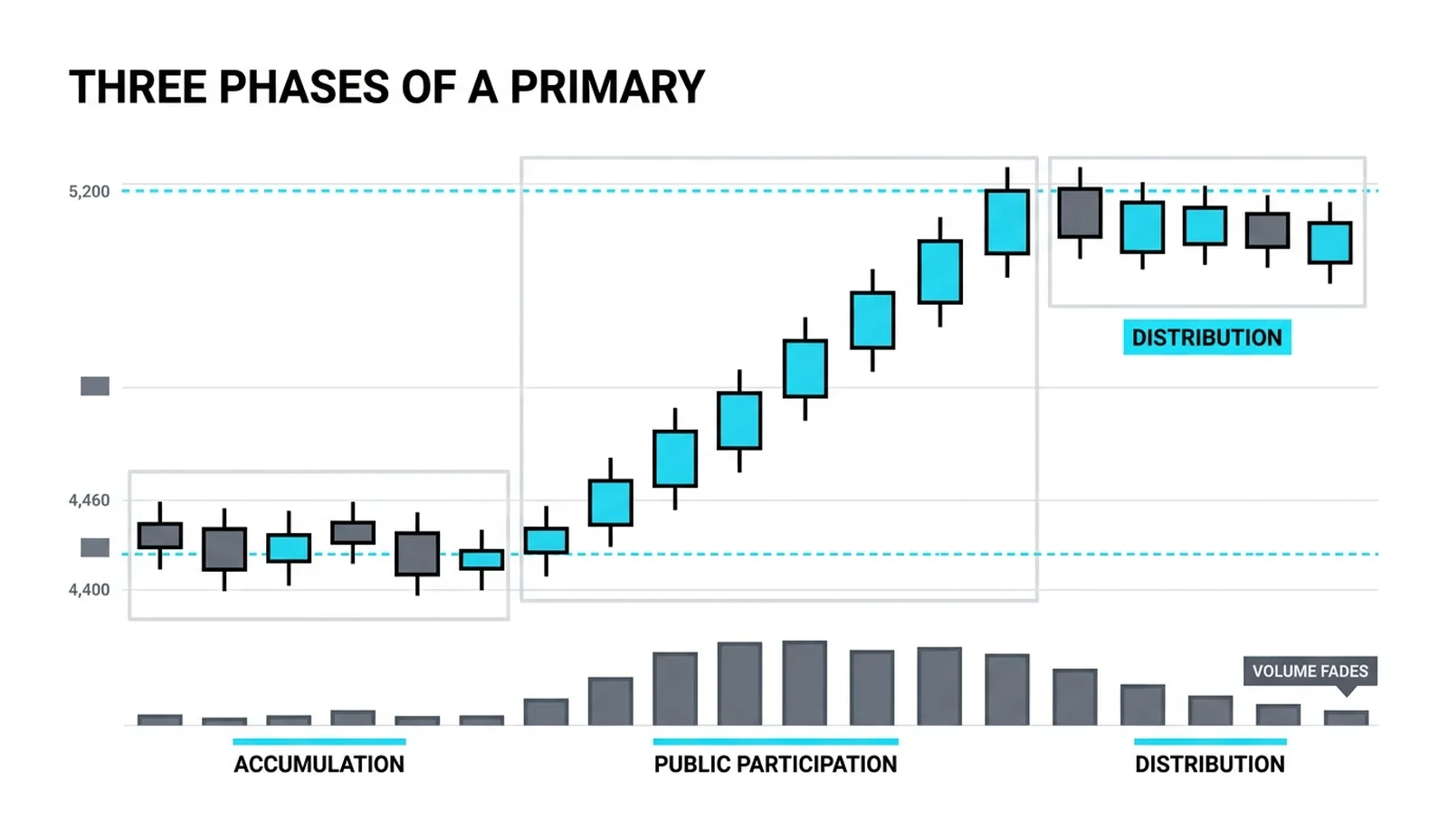 The three phases of a primary: quiet accumulation on thin volume, expanding participation on the advance, distribution as volume fades at the top