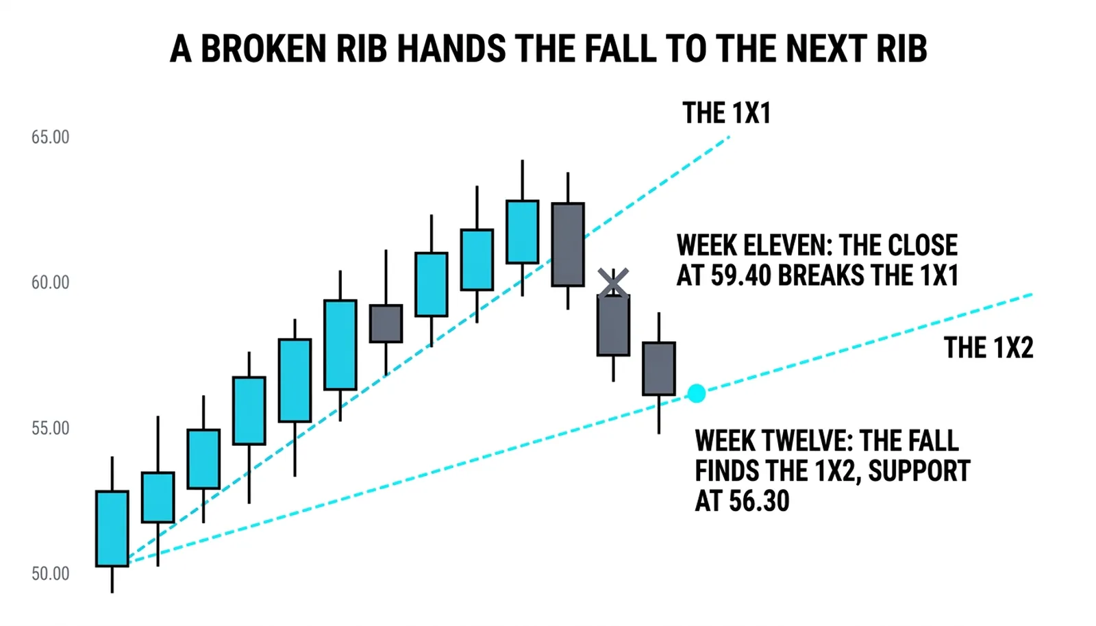 The break of the 1x1 at 59.40 in week eleven and the fall to the 1x2 support at 56.30