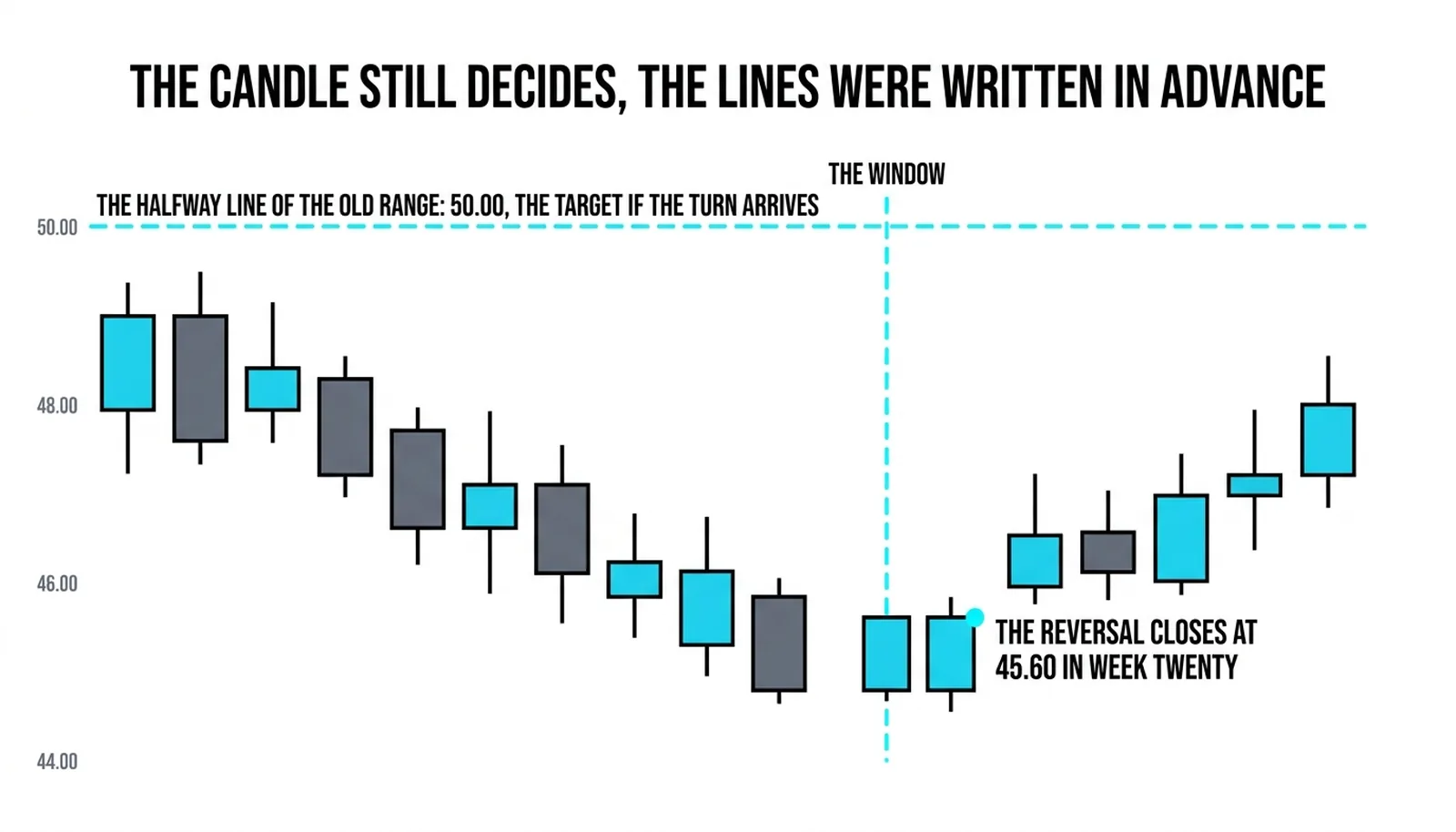 The decline into week twenty, the reversal closing at 45.60 inside the window and the 50.00 line above