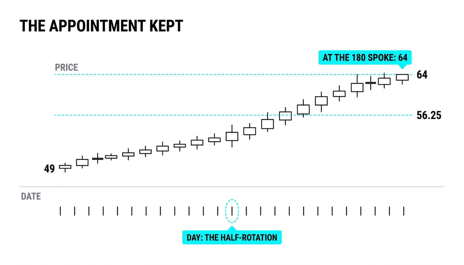 The worked appointment: price at the half-rotation level of 64 as the calendar passes the half-rotation date