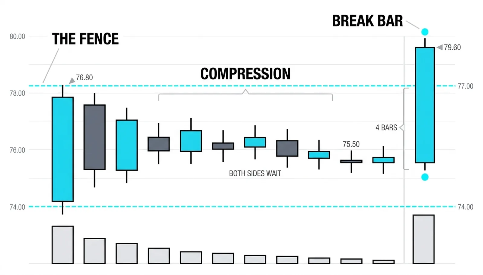 Eleven bars with steadily shrinking ranges, then one break bar that covers four coils at once