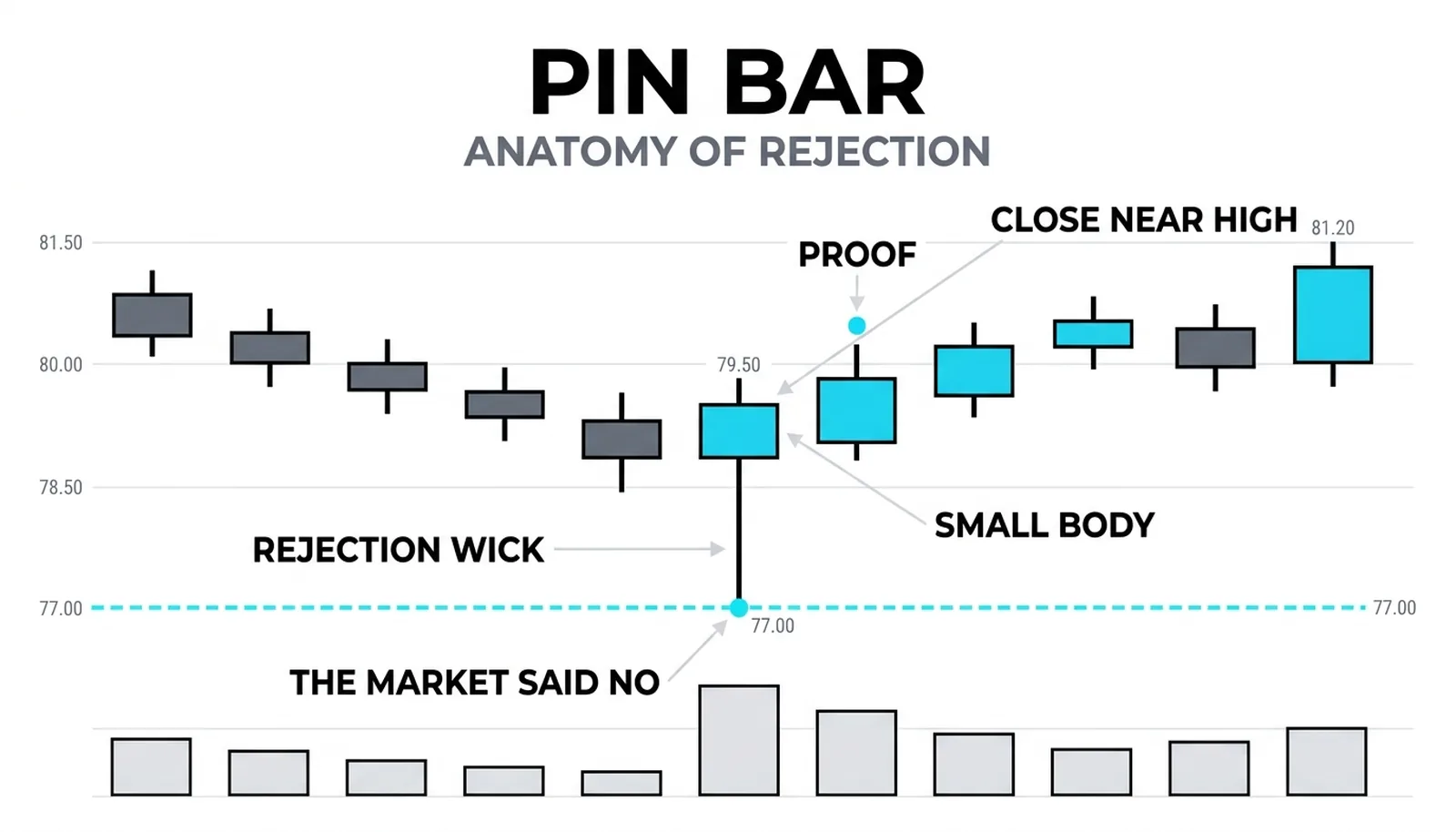 A single large bullish pin bar with a dominant lower wick, drawn against generous whitespace, teaching that the long tail is the market's rejection mark.