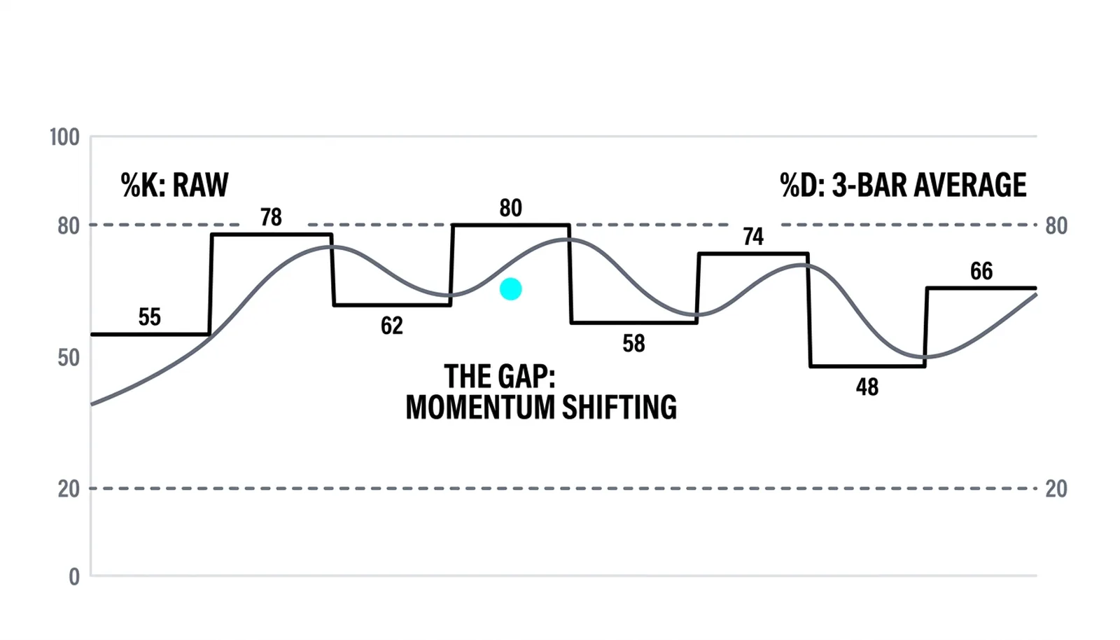 The twitchy raw %K line against the smooth trailing %D average, the gap between them marked