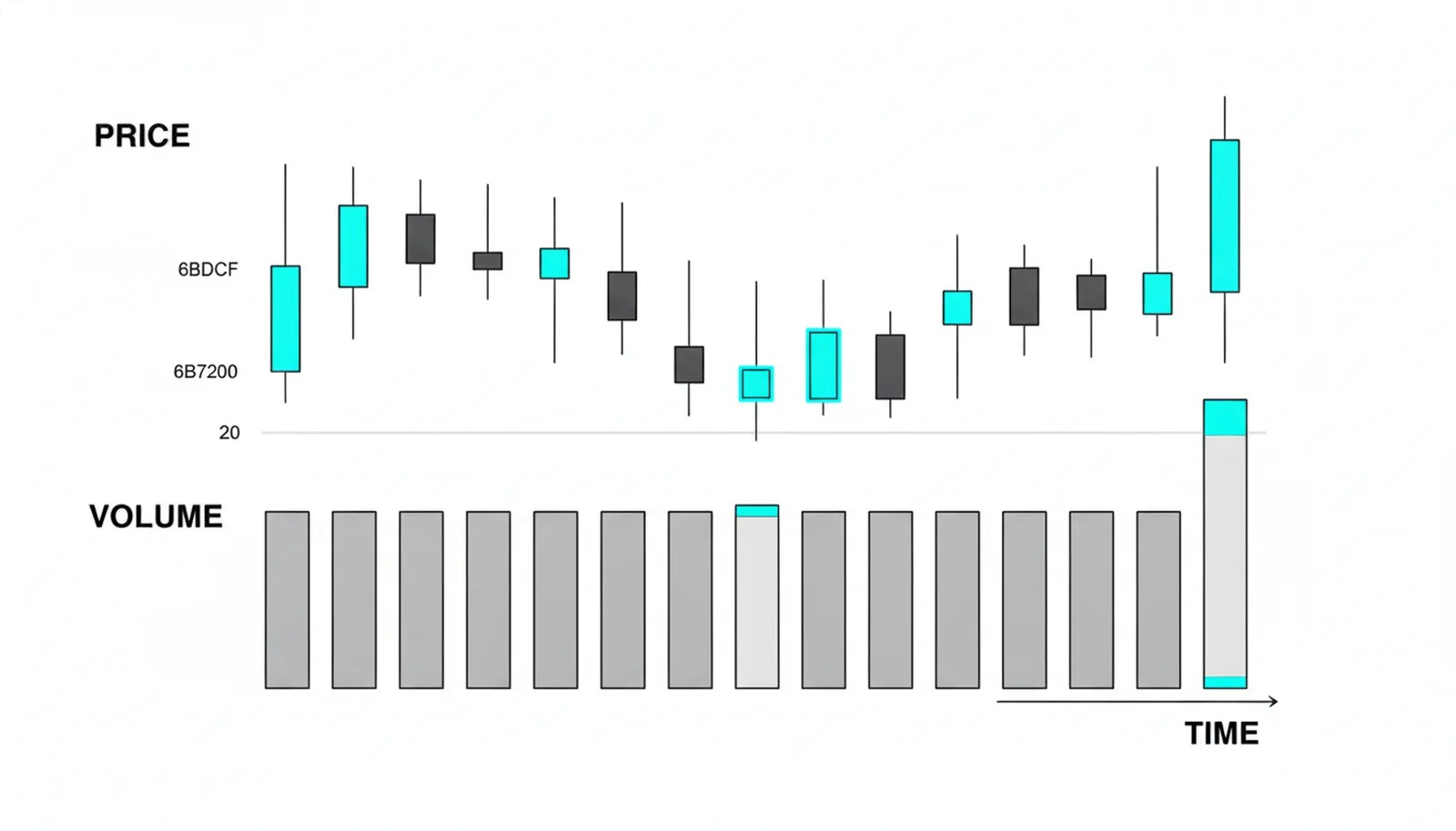 Twelve candles over a matching volume panel: the chart's own record of price, volume and time