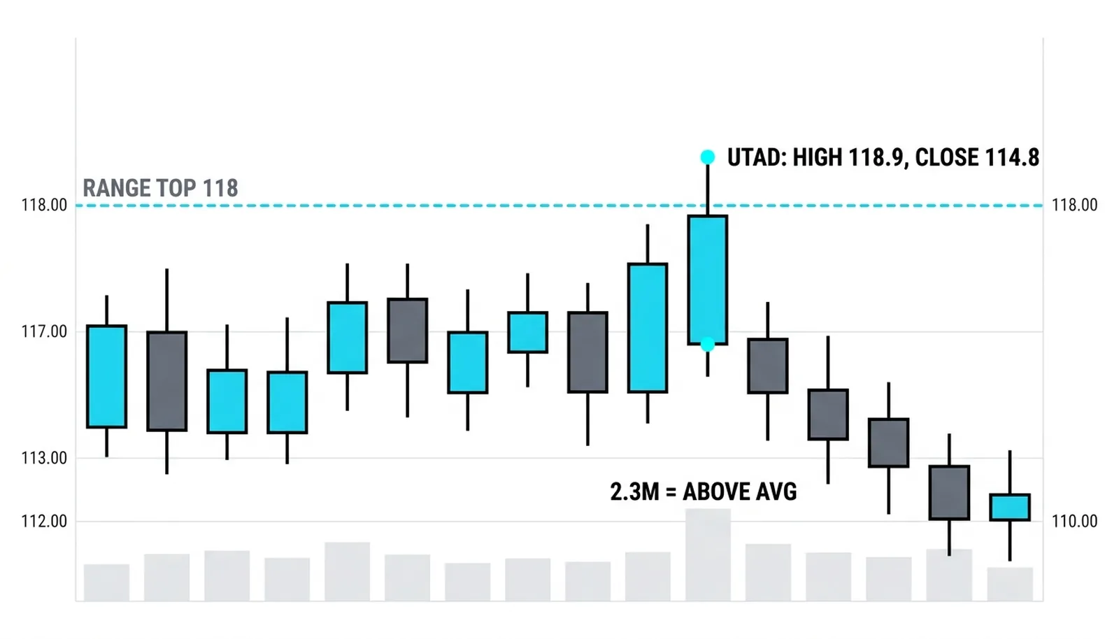 The UTAD poking to 118.9 and closing back at 114.8 on above-average volume